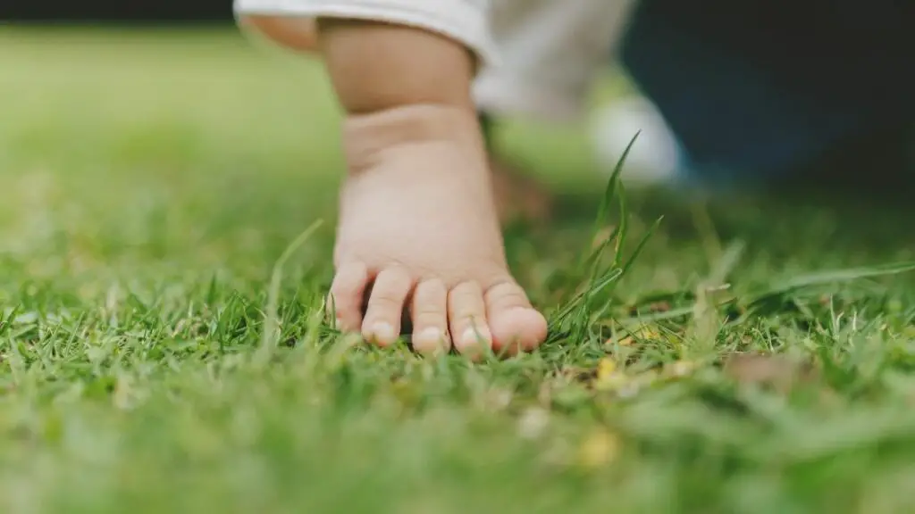 Lawn Care Safety Tips Young Children