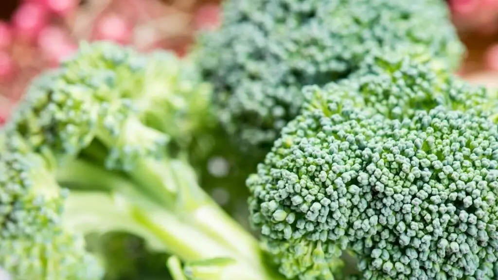 Is Epsom salt suitable for broccoli plants