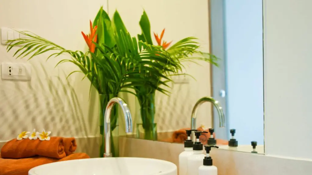 create a spa like bathroom add plants