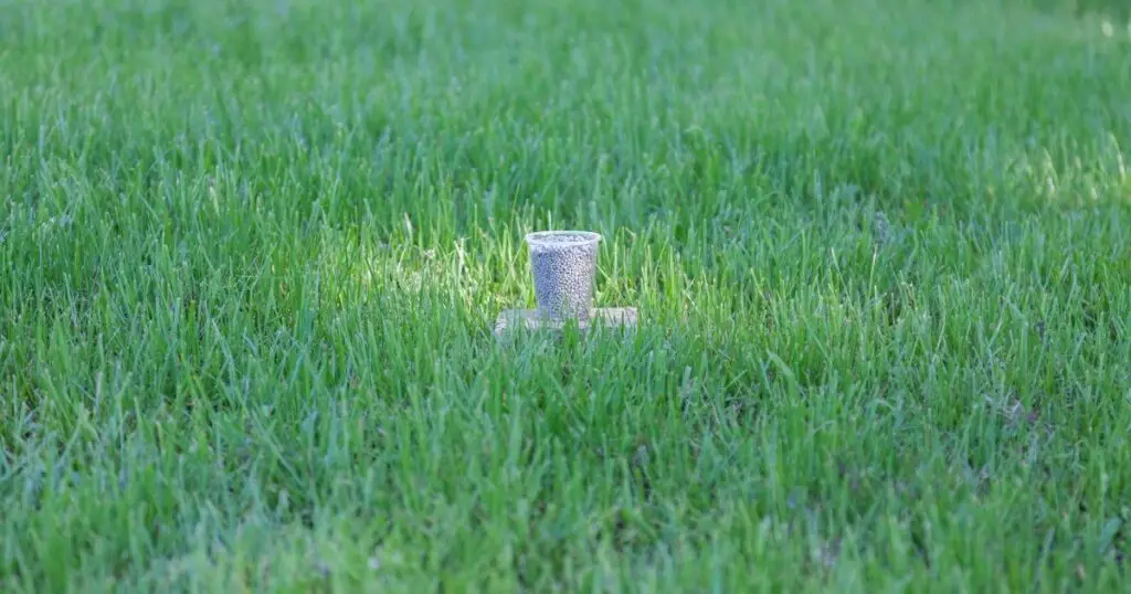 Benefits of a Natural Grass Fertilizer