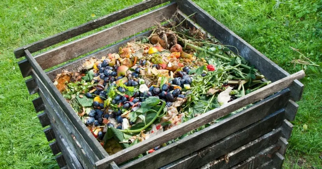 Compost for lawn