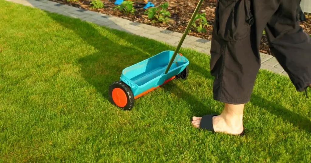 How to use organic lawn fertilizer