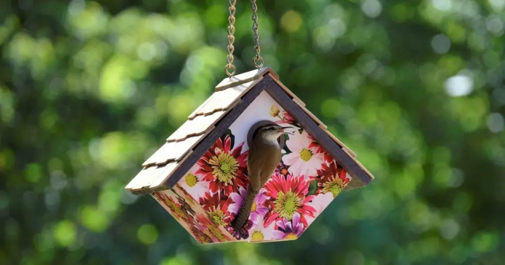 7 Easy ways to get birds to come to your birdhouse