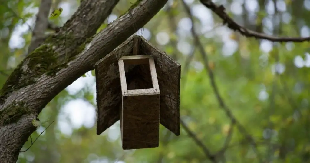 Birdhouse nesting materials