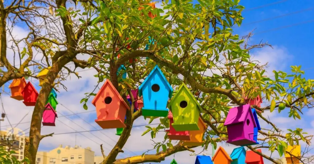 Make sure the birdhouse is clean and has a fresh coat of paint