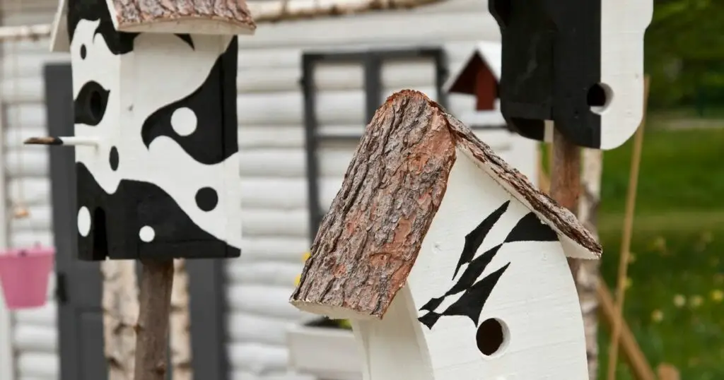 The Reasons Why Some Birds Dont Use Birdhouses