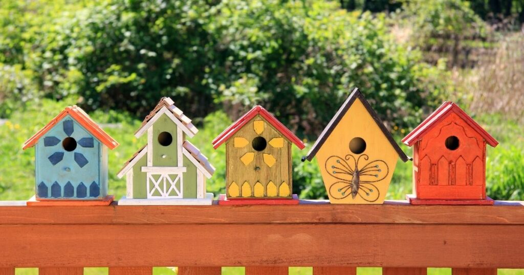 What color should my birdhouse be