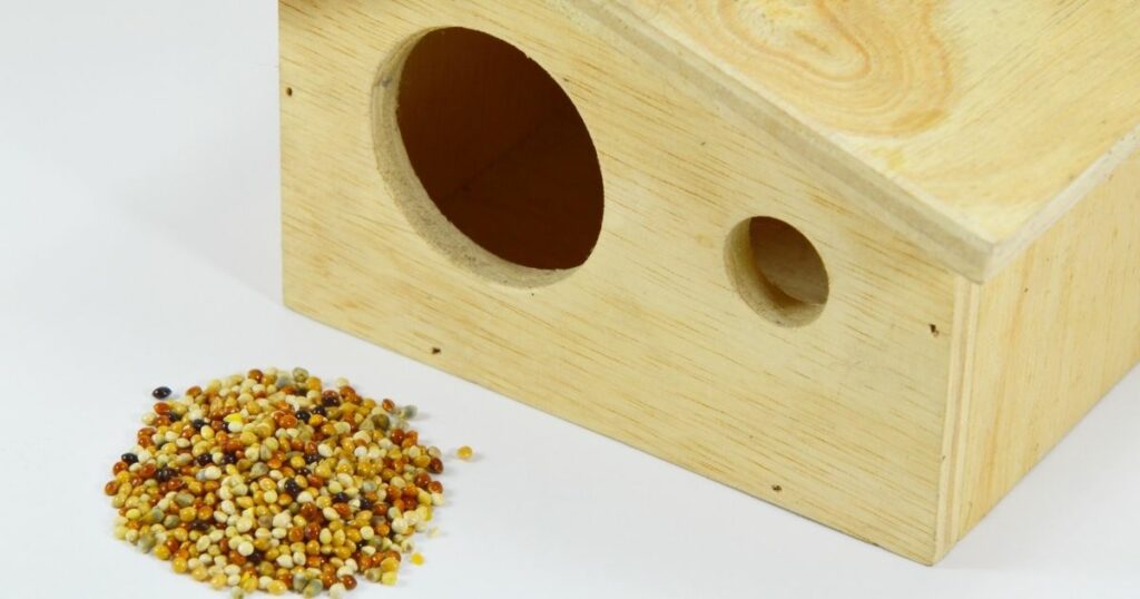 Will putting food inside the birdhouse attract pests