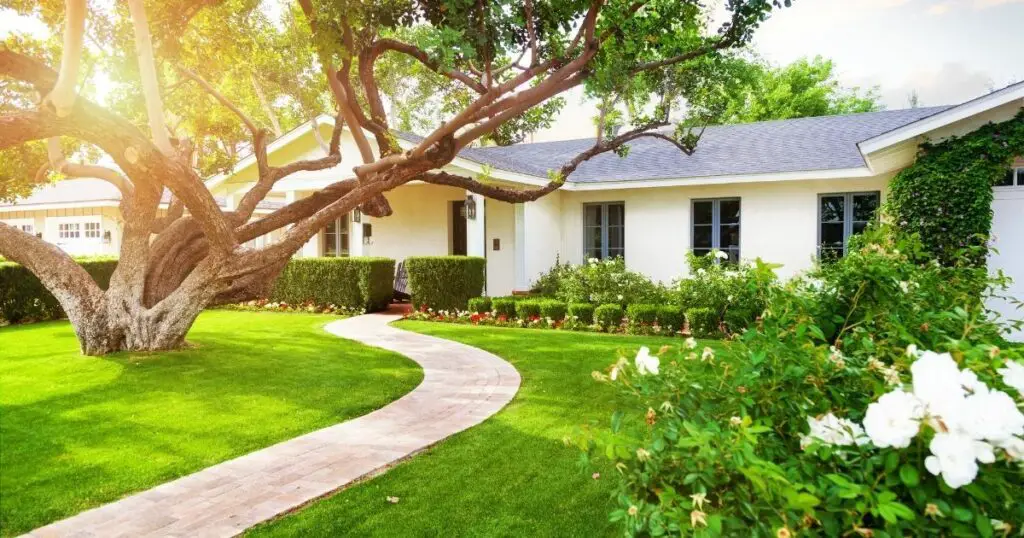 5 Ways to Make Your Front Yard Look More Expensive