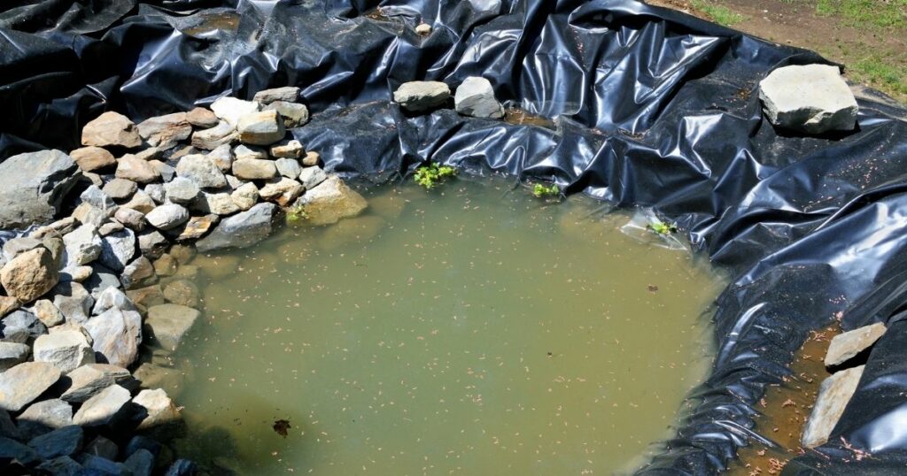 Get tips for the perfect backyard pond liner to make your koi pond dreams come true