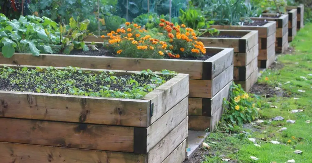 How to Choose the Right Material for Your Raised Garden Bed