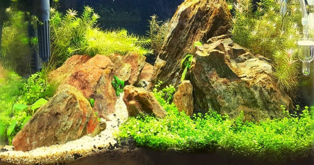 How to Create a Natural Looking Aquariumscape
