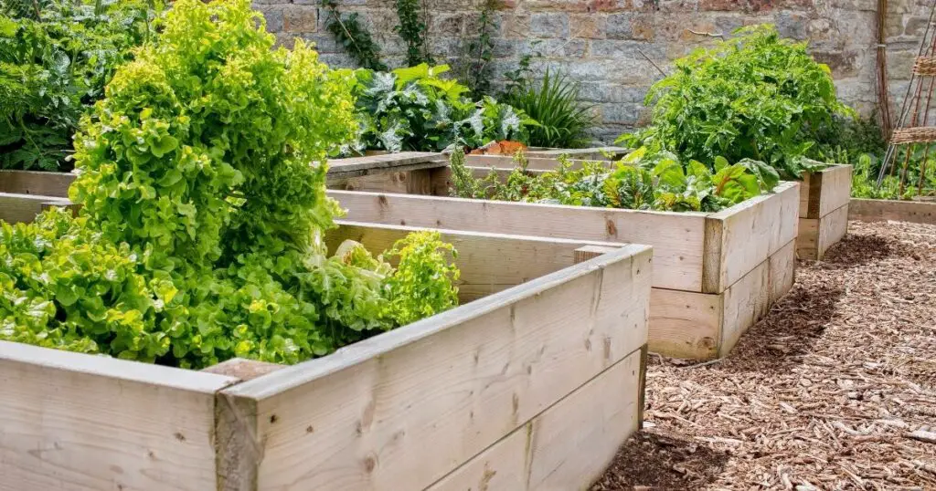 Liner up Your Raised Garden Bed for Success