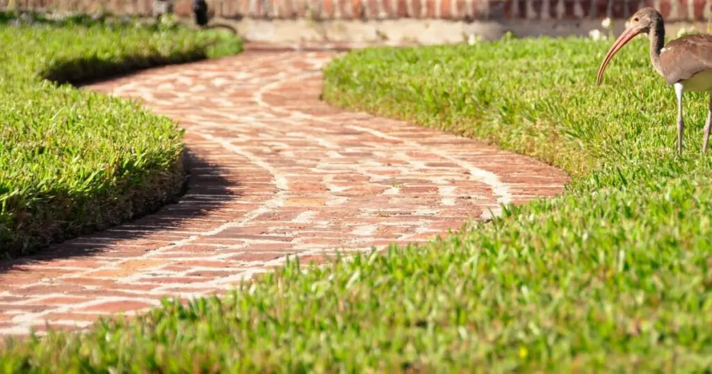 Save Time and Money with Low Maintenance Landscaping