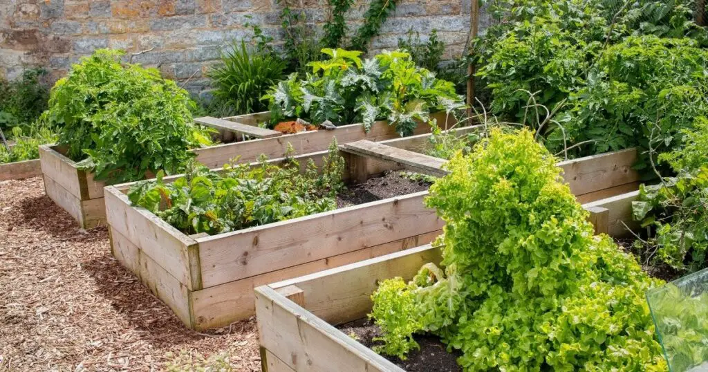 The Best Materials for Your Raised Garden Bed
