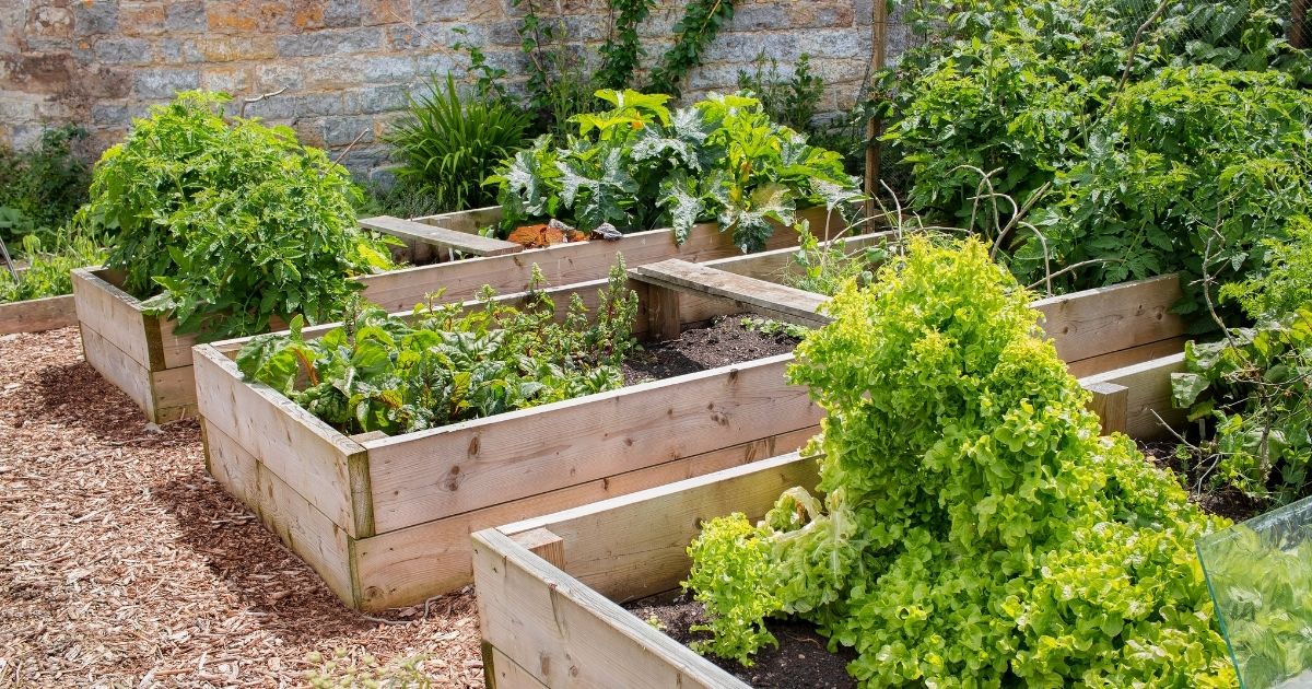 Laying the Foundation: What to Put on the Bottom of Raised Beds - Home ...