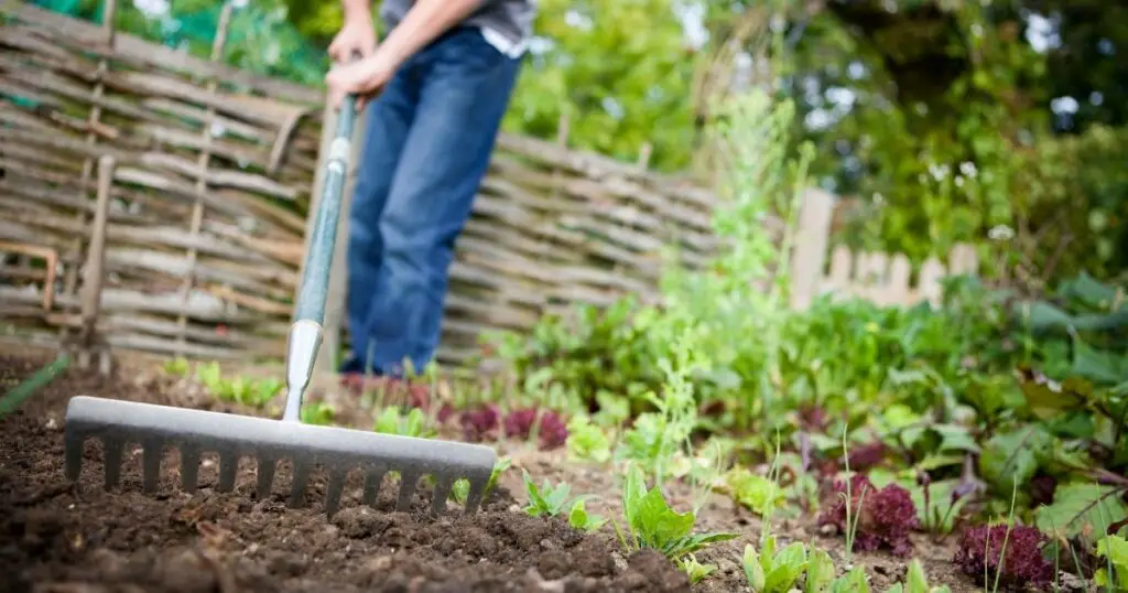 The Case for Not Bottoming Out Your Garden Bed