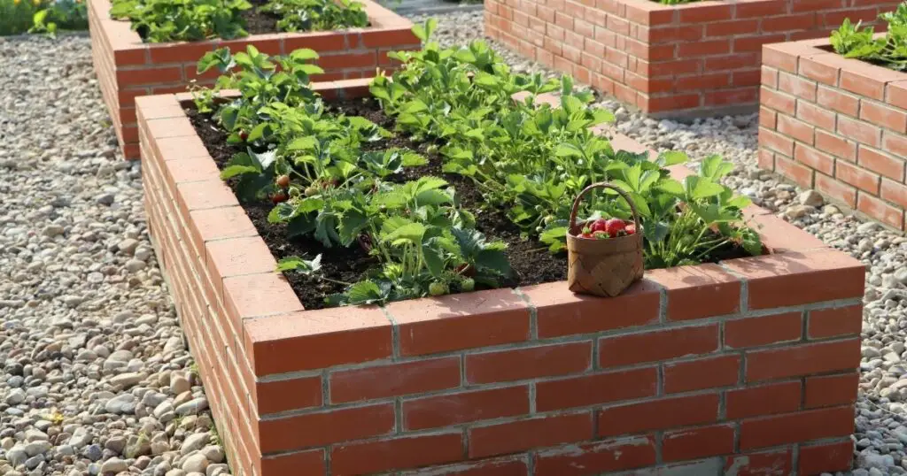 The Perfect Soil Mix for Your Raised Bed
