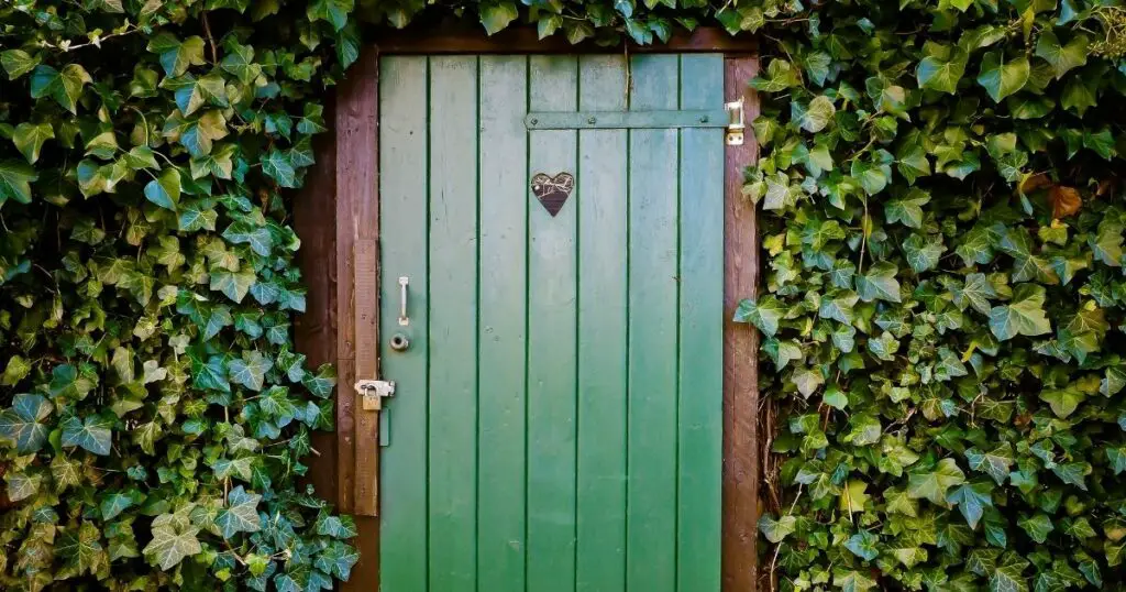 The right front door material can make all the difference