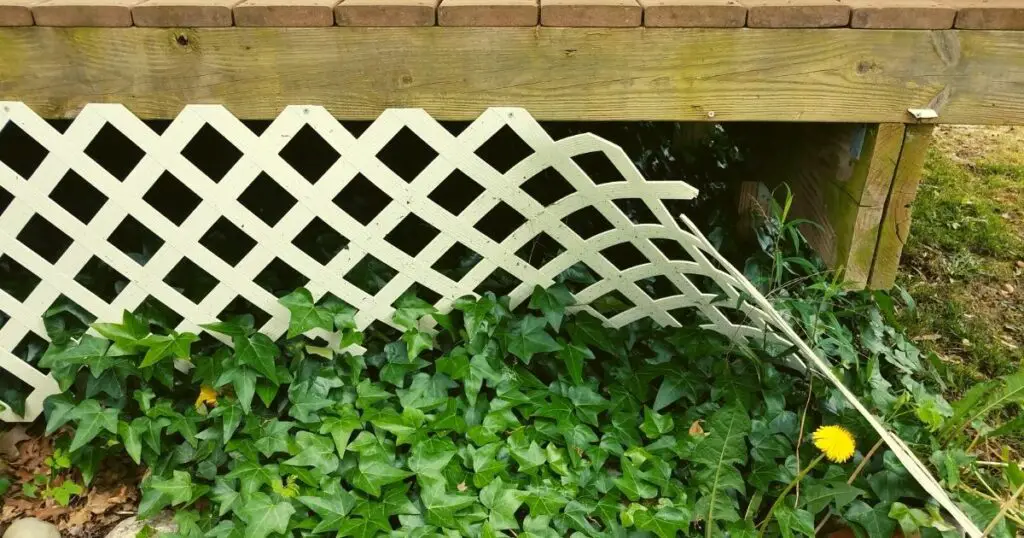 Unique Look for Your Home with Lattice Fencing