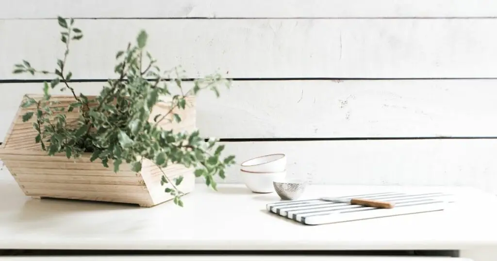 Everything You Need to Know About Shiplap