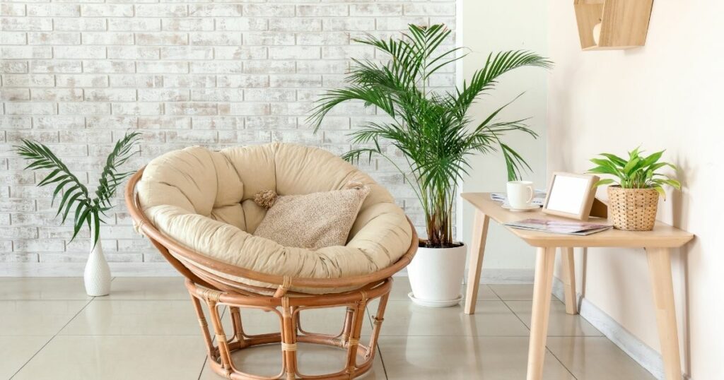 Why are Papasan chairs so comfy The secret is in the design